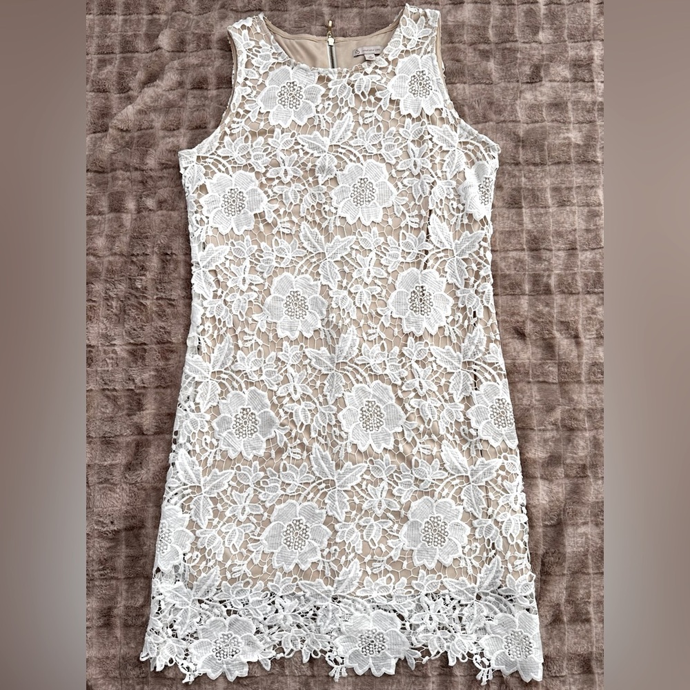 CB est 1962 White All Over Lace Nude Underlay Dress
